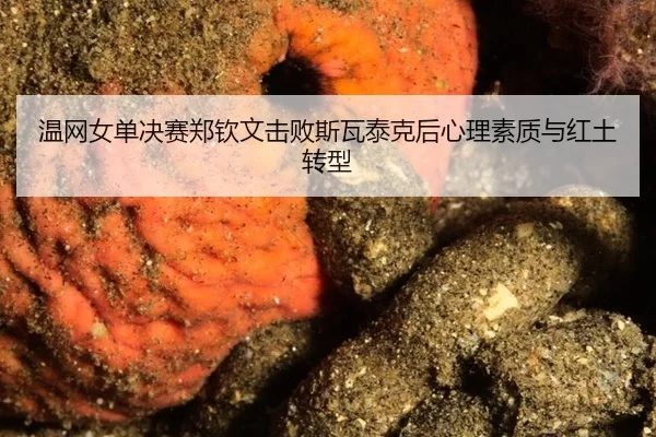 温网女单决赛郑钦文击败斯瓦泰克后心理素质与红土转型