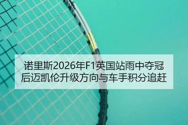 nuo-li-si-nian-ying-guo-zhan-yu-zhong-duo-guan-hou-mai-kai-lun-sheng-ji-fang-xiang-yu-che-shou-ji-fen-zhui-gan-3-844.jpg